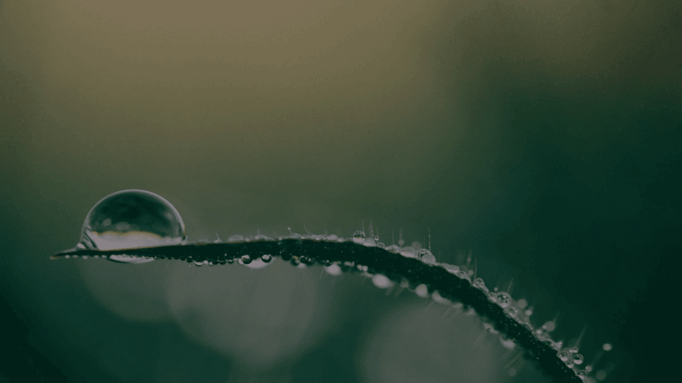 游戏与互动媒体