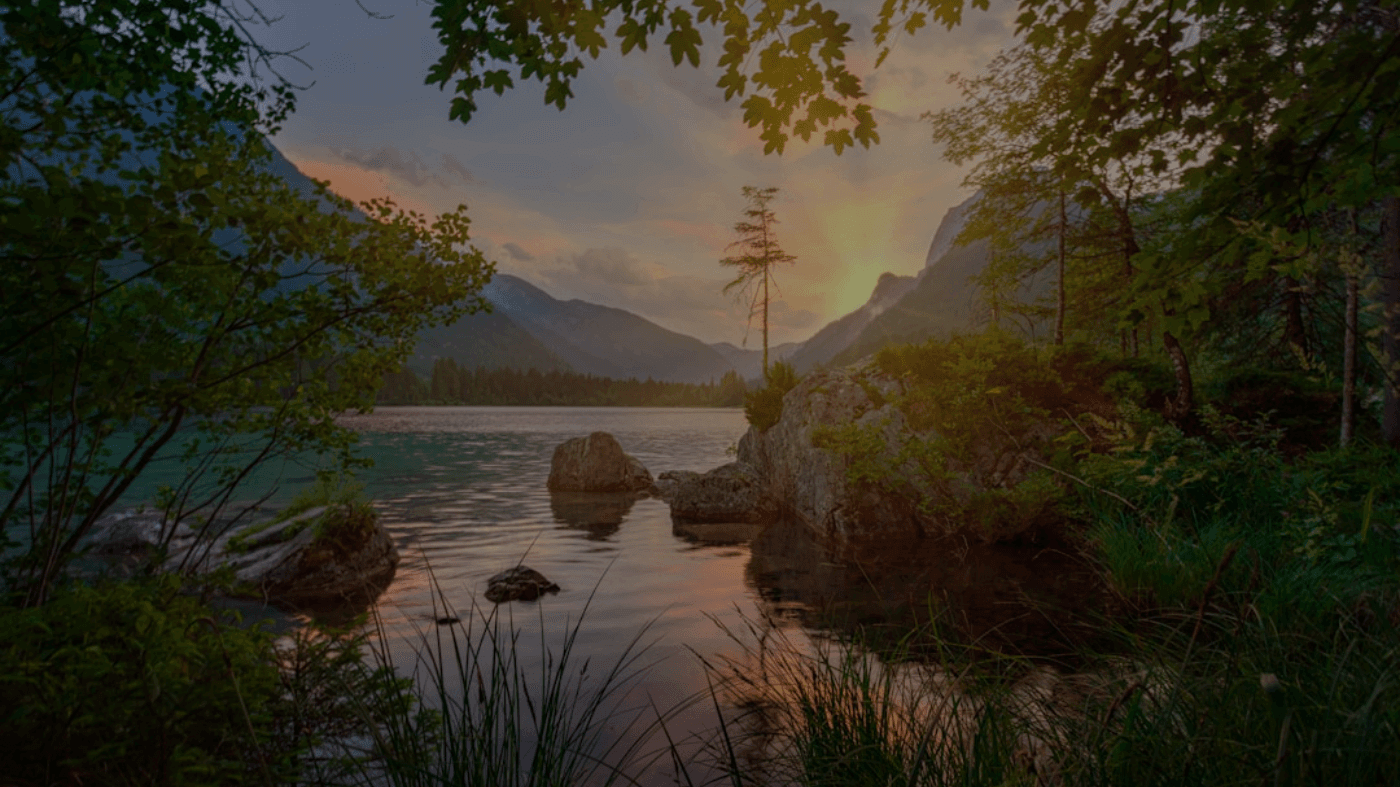 测试专用付费文章 测试专用付费文章